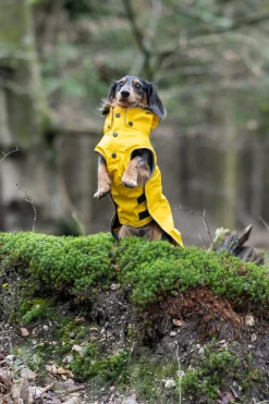 Outlet Stream raincoat Koiran Sadetakit