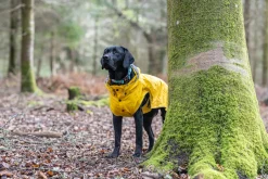 Outlet Stream raincoat Koiran Sadetakit