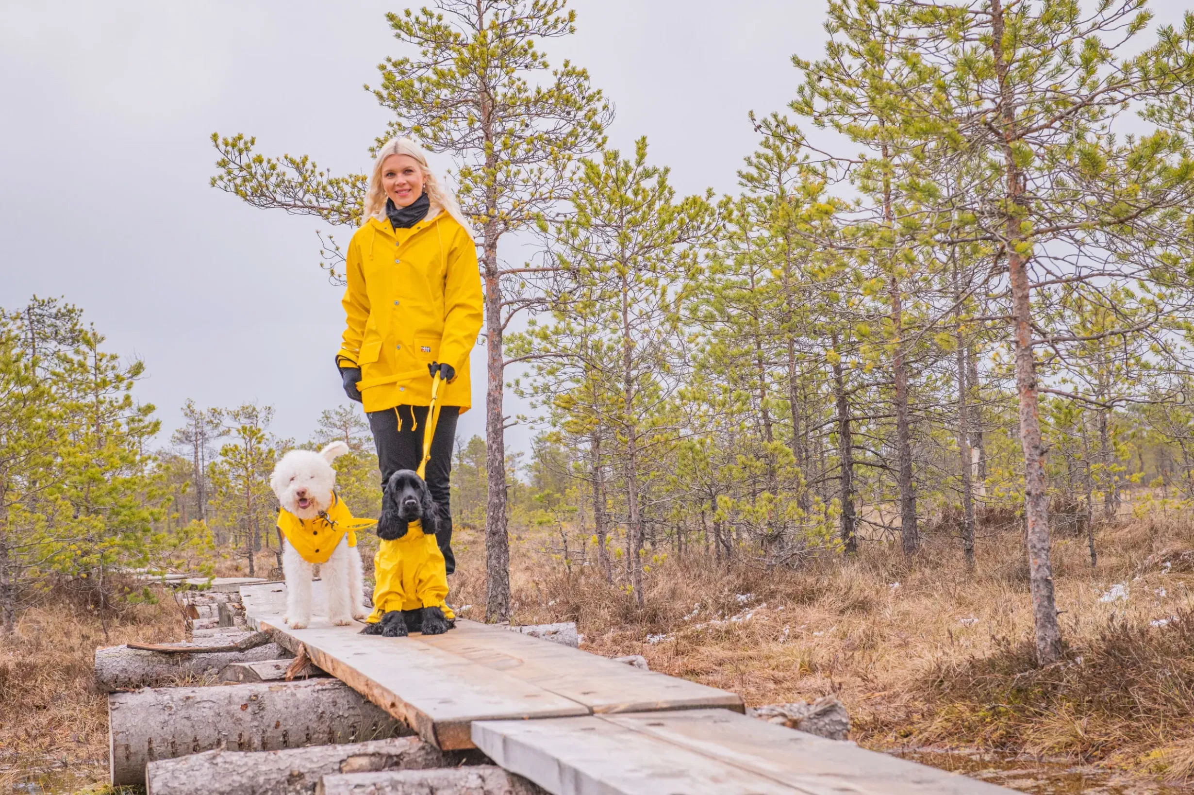 Outlet Stream raincoat Koiran Sadetakit