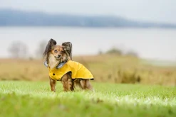 Outlet Stream raincoat Koiran Sadetakit