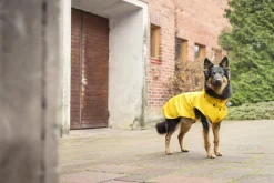 Outlet Stream raincoat Koiran Sadetakit