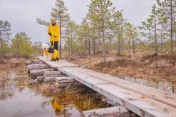 Outlet Stream raincoat Koiran Sadetakit