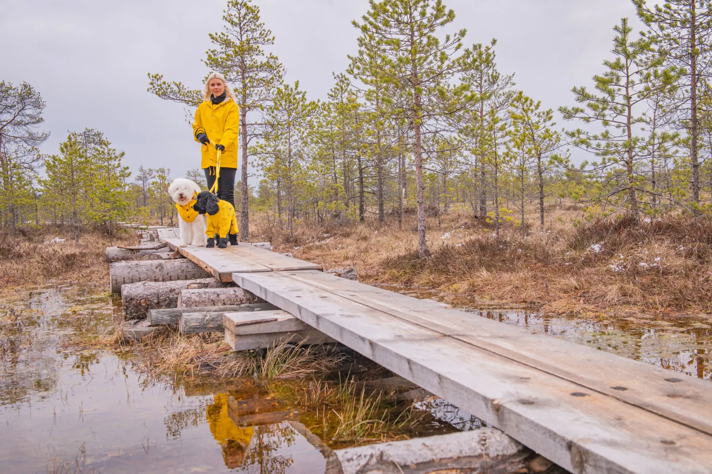 Outlet Stream raincoat Koiran Sadetakit