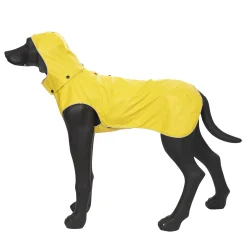 Outlet Stream raincoat Koiran Sadetakit