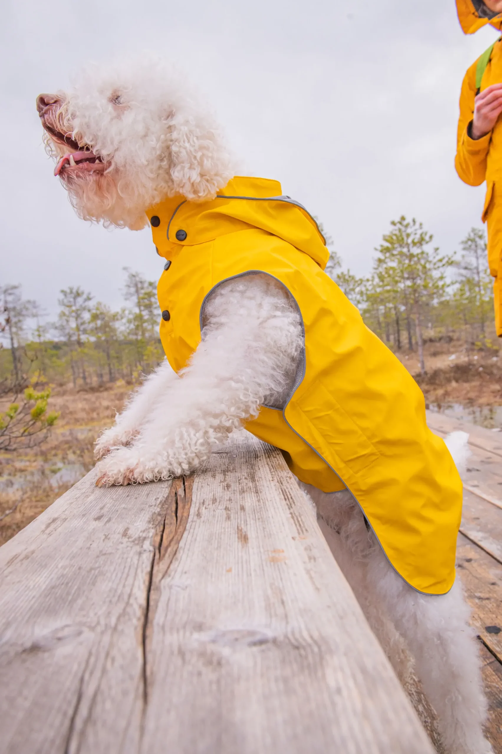 Outlet Stream raincoat Koiran Sadetakit