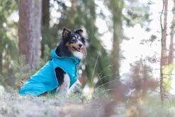 Stream raincoat Koiran Sadetakit