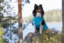 Stream raincoat Koiran Sadetakit