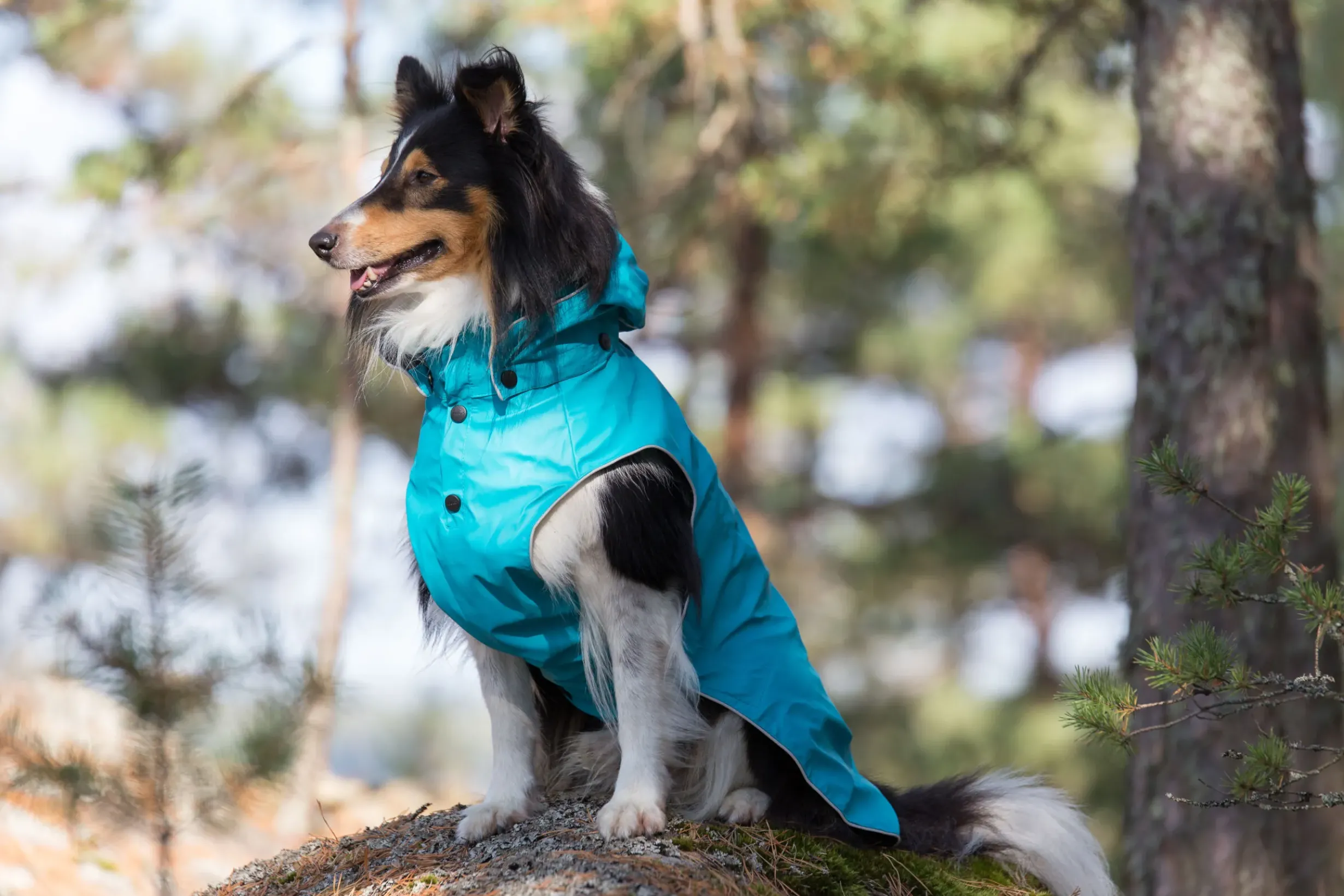 Stream raincoat Koiran Sadetakit