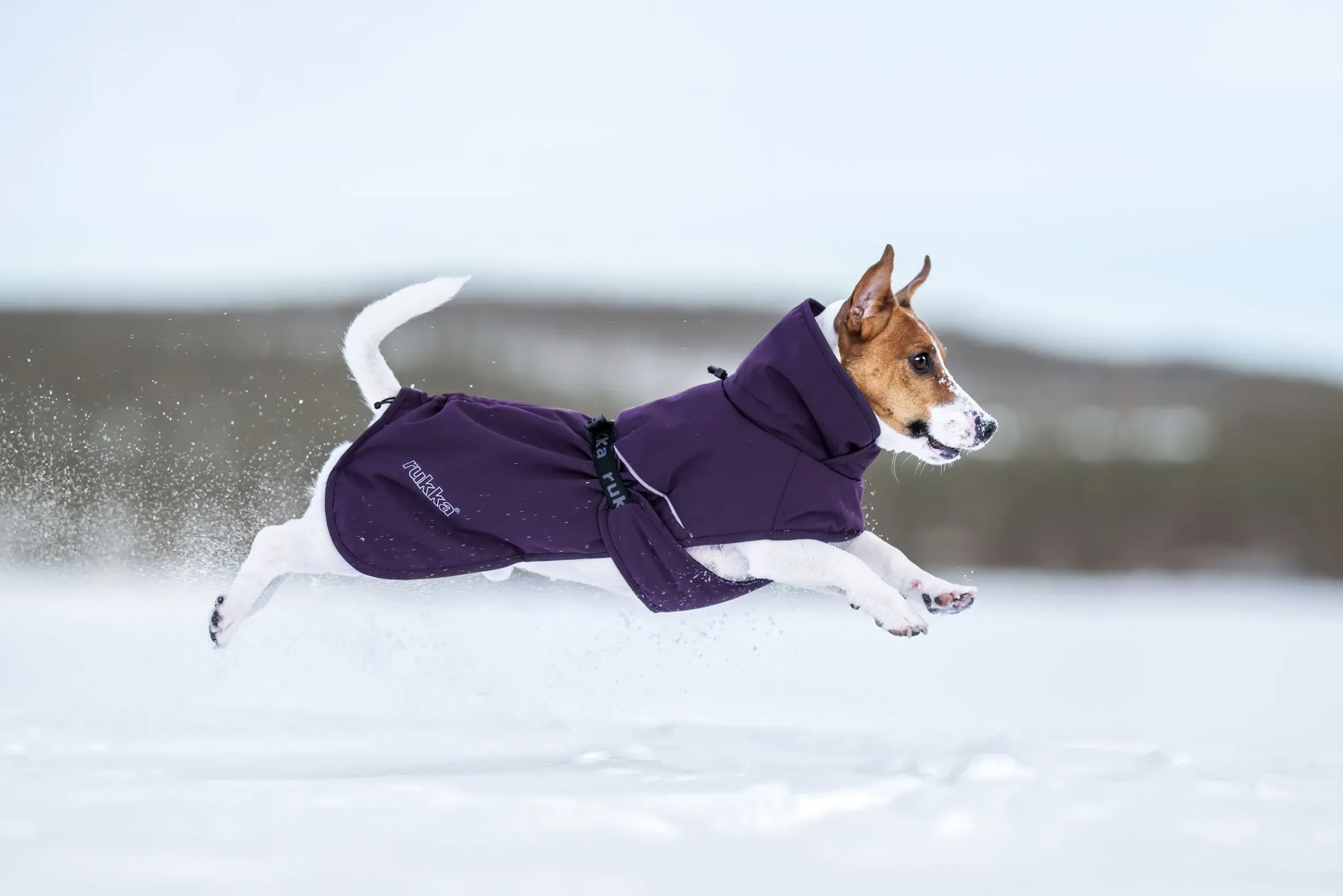 Discount Trust Foil Coat Koiran Talvitakit
