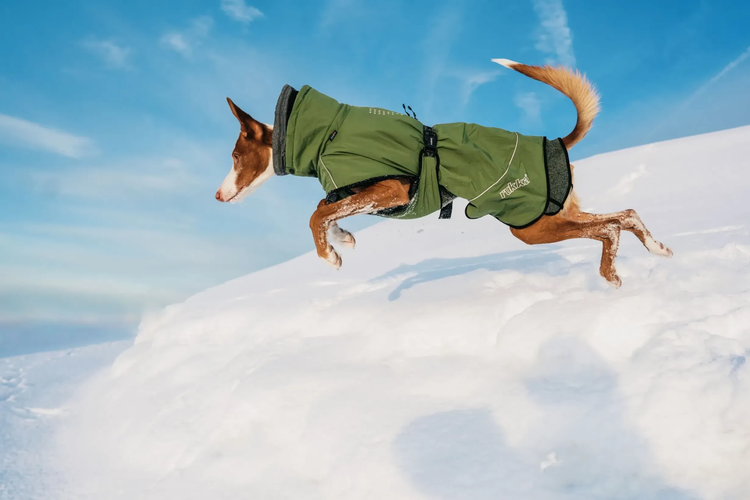 Sale Warmup 2.0 coat Koiran Talvitakit