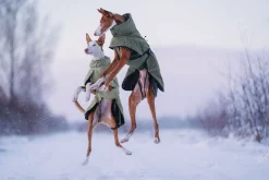 Sale Warmup 2.0 coat Koiran Talvitakit