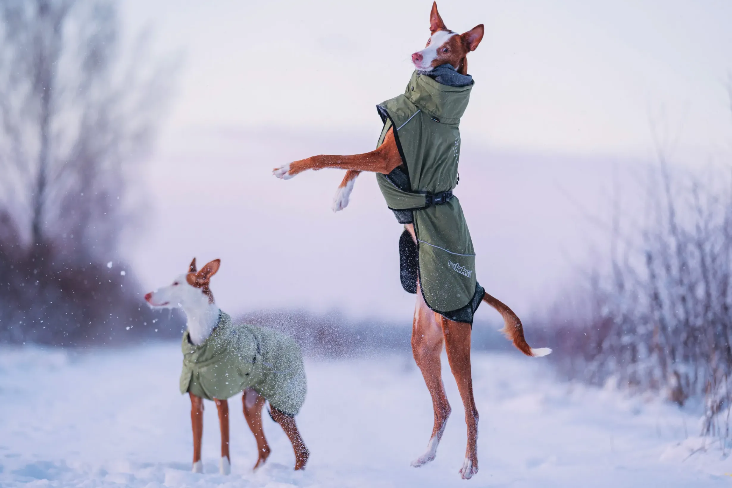Sale Warmup 2.0 coat Koiran Talvitakit