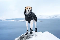 New Warmup 2.0 coat Koiran Talvitakit
