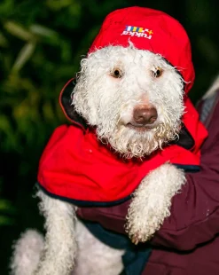 New Rukkapets Wavy raincoat Koiran Sadetakit