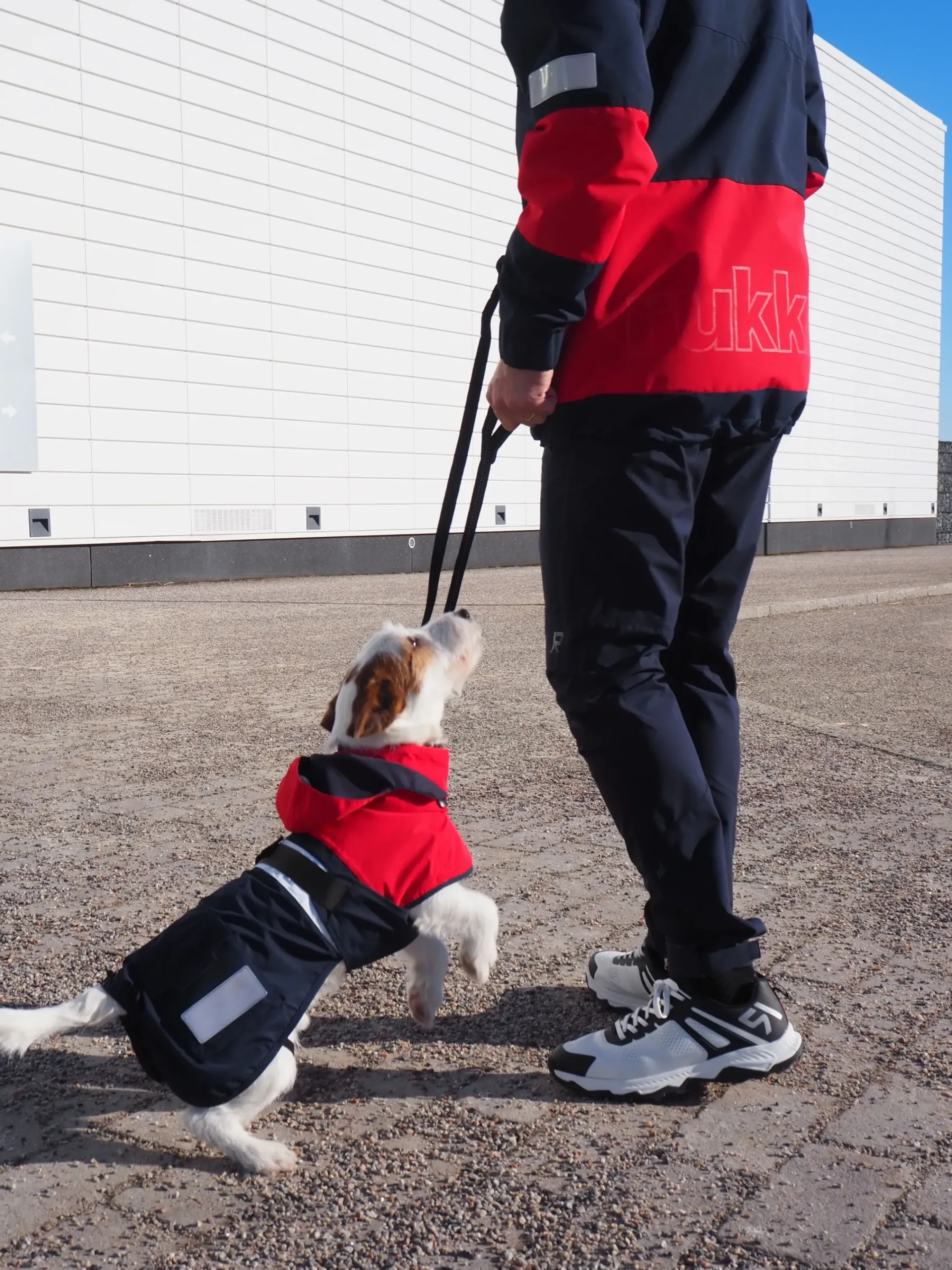 New Rukkapets Wavy raincoat Koiran Sadetakit