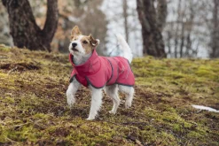 Discount Windy thermal jacket Koiran Talvitakit