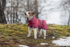 Discount Windy thermal jacket Koiran Talvitakit