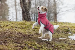 Discount Windy thermal jacket Koiran Talvitakit