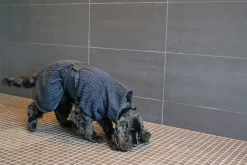 Best x UHTA HOE Aato Pet Bathrobe Tarvikkeet