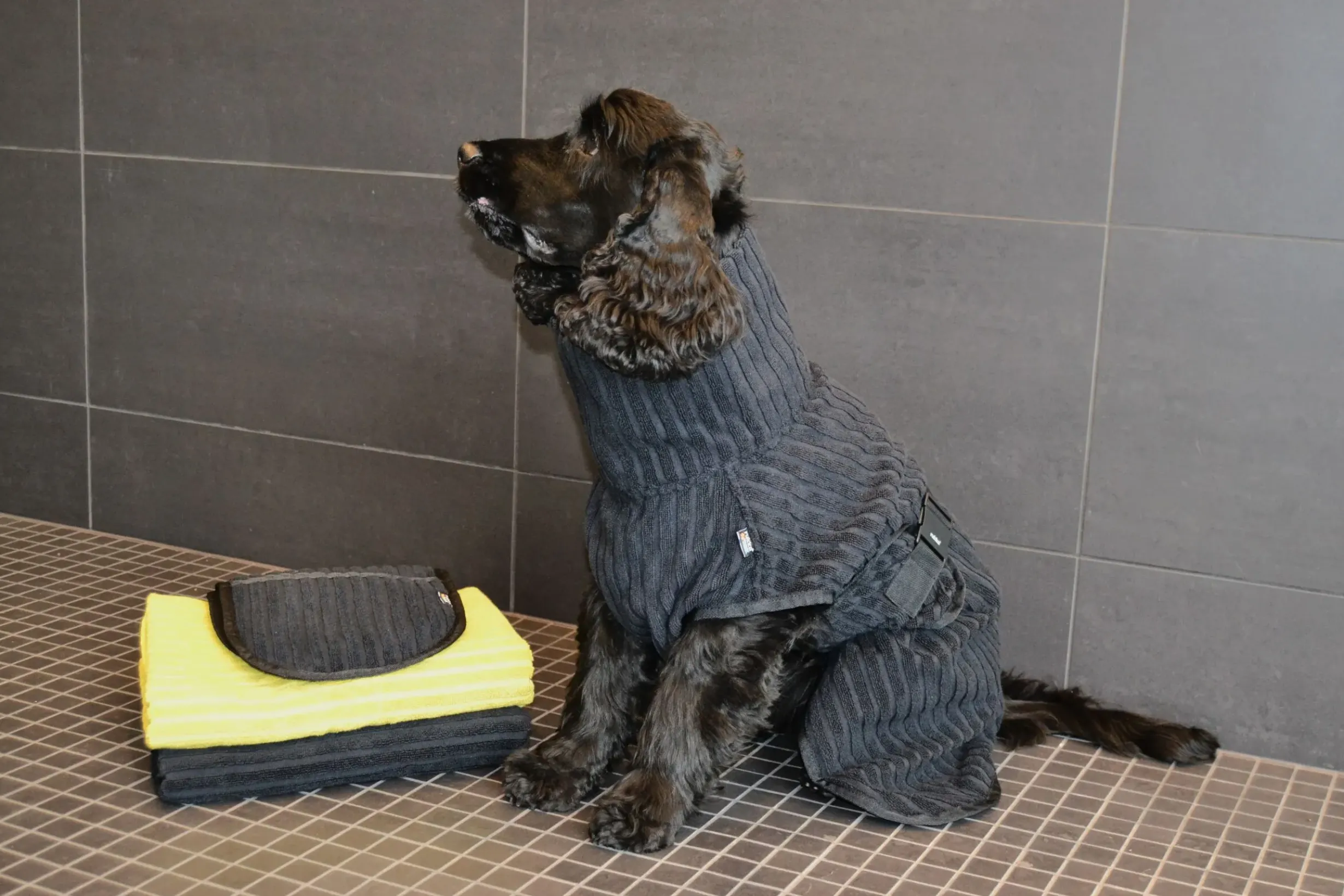 Best x UHTA HOE Aato Pet Bathrobe Tarvikkeet